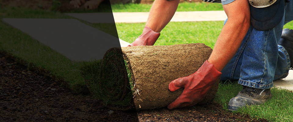 Channahon Landscapers